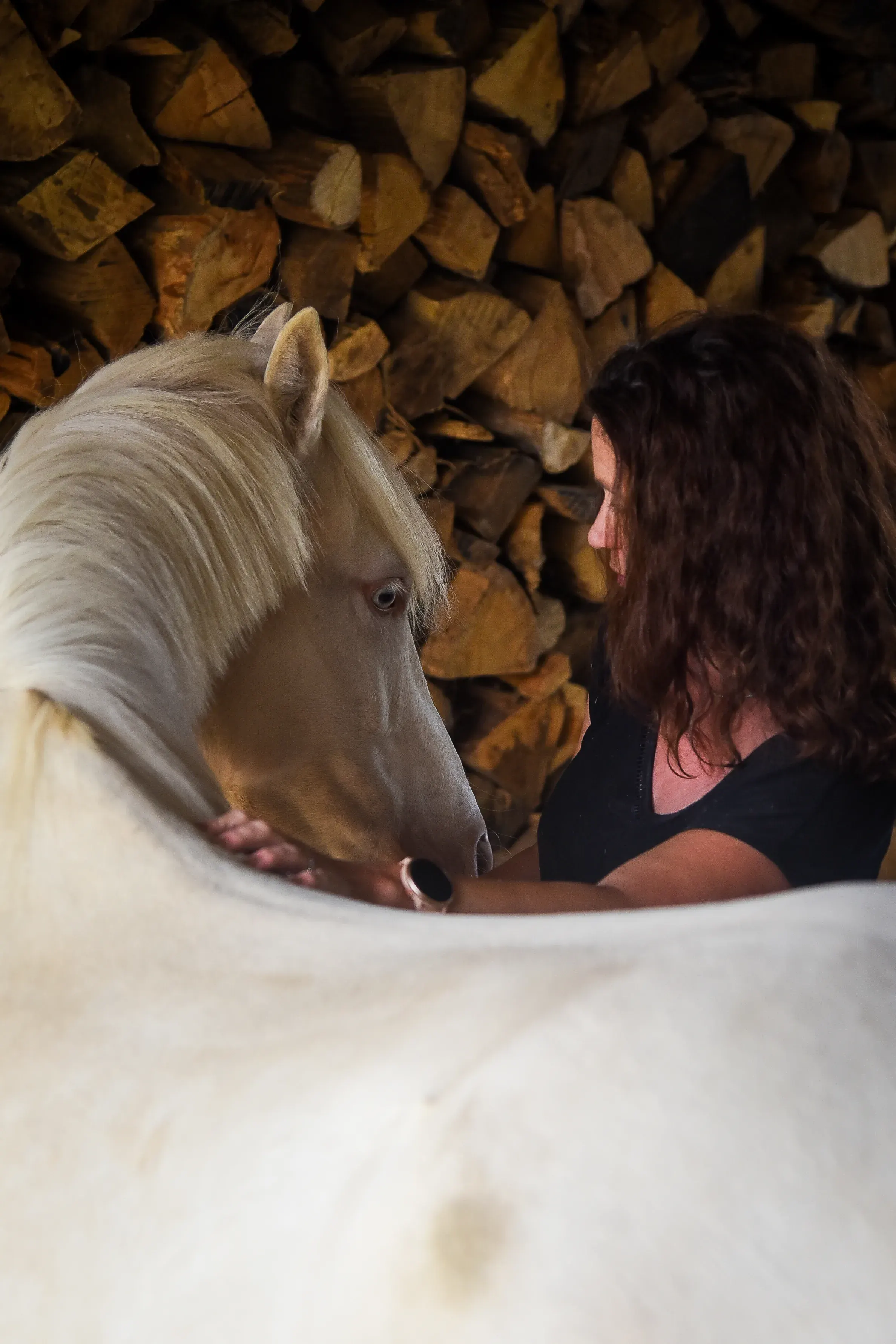 Cheval détendu pendant un moment de soin