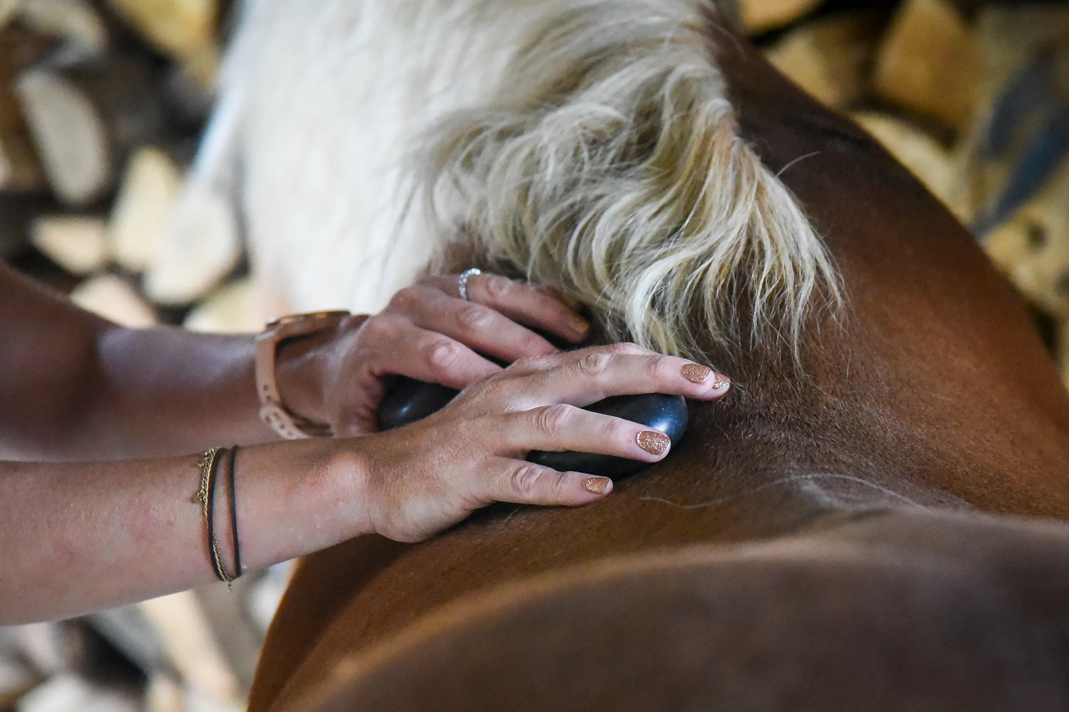 Pierres chaudes posées près du garrot d’un cheval
