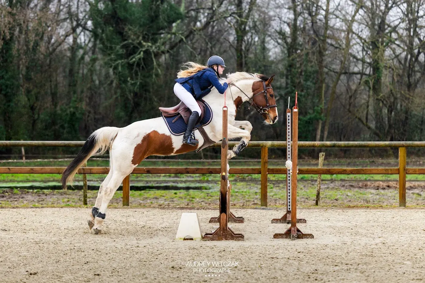 Cheval franchissant un obstacle en compétition